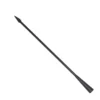 700419-1.webp